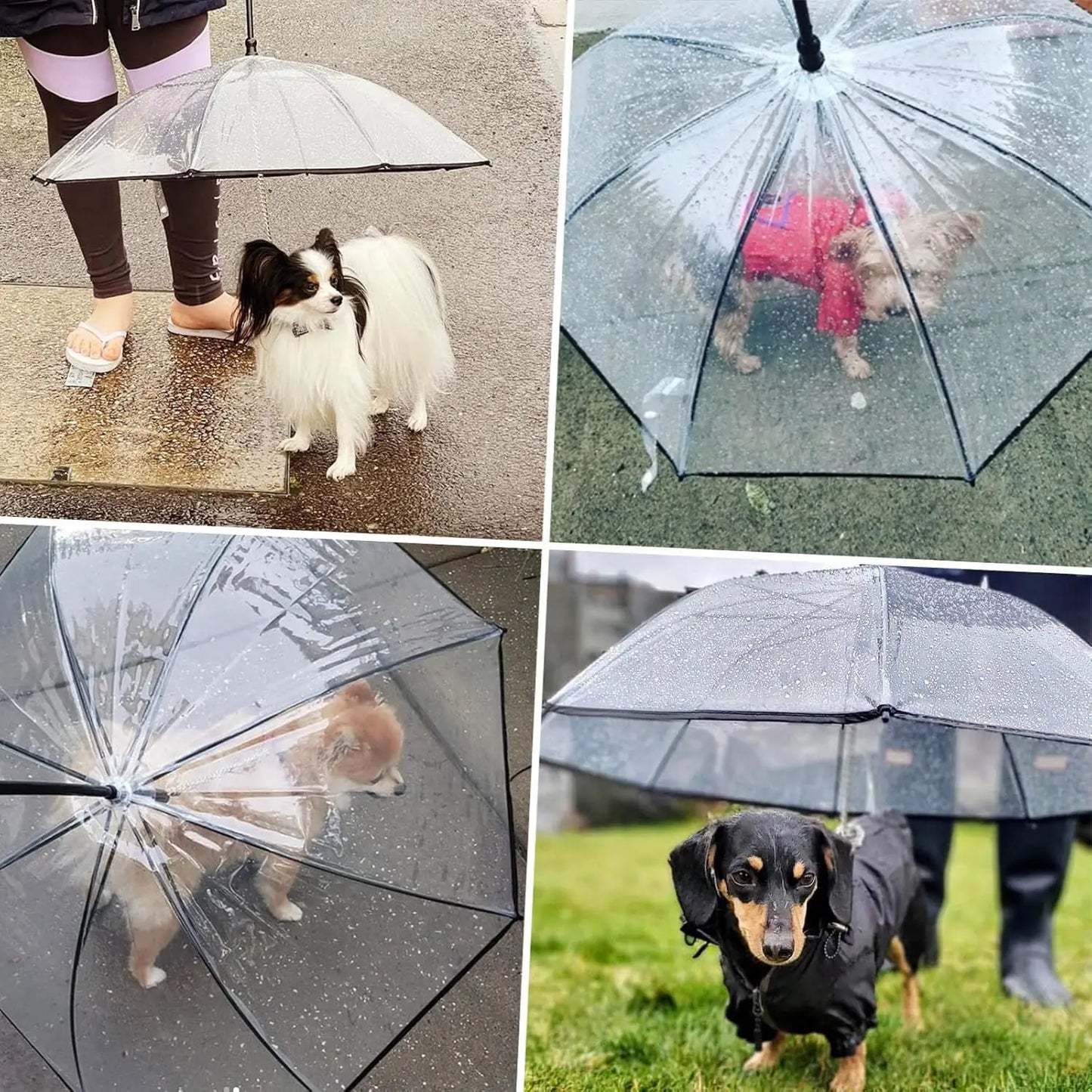 Hot Selling Transparent Pet Supplies Adjustable Pet C Type Umbrella